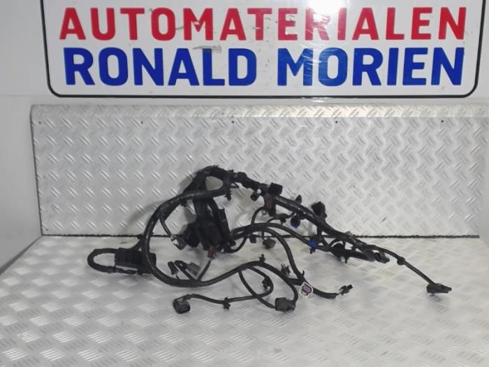 Wiring harness from a Opel Karl 1.0 ecoFLEX 12V 2016