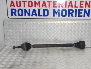 Used Front drive shaft, right Seat Altea (5P1) 1.9 TDI Price € 55,00 Margin scheme offered by Automaterialen Ronald Morien B.V.