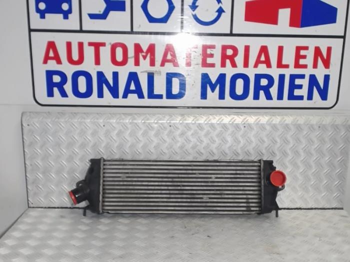 Usagé Intercooler Opel Vivaro Prix € 45,00 Règlement à la marge proposé par Automaterialen Ronald Morien B.V.