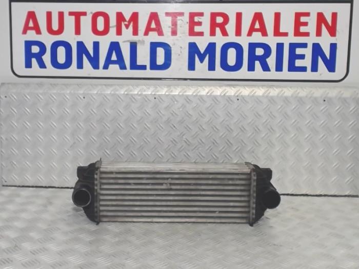Intercooler from a Ford Transit Connect 1.8 TDCi 90 DPF 2009