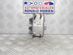 Usados Refrigerador de combustible Landrover Range Rover Evoque (LVJ/LVS) 2.2 SD4 16V Precio € 65,00 Norma de margen ofrecido por Automaterialen Ronald Morien B.V.