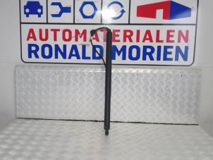 Używane Amortyzator gazowy lewy tyl Audi Q2 Cena € 175,45 Z VAT oferowane przez Automaterialen Ronald Morien B.V.