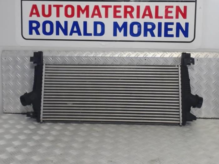 Usagé Intercooler Opel Astra J (PC6/PD6/PE6/PF6) 1.6 Turbo 16V Prix € 89,00 Règlement à la marge proposé par Automaterialen Ronald Morien B.V.