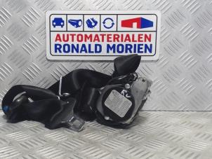 Used Front seatbelt, right Ford Focus 3 2.0 TDCi 16V 115 Price € 75,00 Margin scheme offered by Automaterialen Ronald Morien B.V.