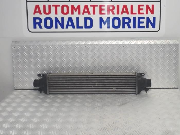 Usados Intercooler Fiat Bravo (198A) 1.6 D Multijet 90 Precio € 41,00 Norma de margen ofrecido por Automaterialen Ronald Morien B.V.
