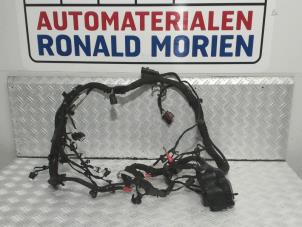 Used Wiring harness engine room Ford Fiesta 7 Price € 125,00 Margin scheme offered by Automaterialen Ronald Morien B.V.