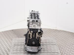 Engine from a Volkswagen Golf VIII (CD1) 2.0 TDI BlueMotion 16V 2021