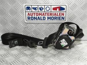 Used Rear seatbelt, right Ford Focus 4 1.5 EcoBlue 120 Price € 34,99 Inclusive VAT offered by Automaterialen Ronald Morien B.V.