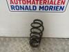 Ford Focus 4 1.5 EcoBlue 120 Rear coil spring
