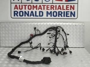 Usados Mazo de cables compartimento motor Volkswagen Golf VII Variant (AUVV) 2.0 GTD 16V Precio € 149,00 IVA incluido ofrecido por Automaterialen Ronald Morien B.V.