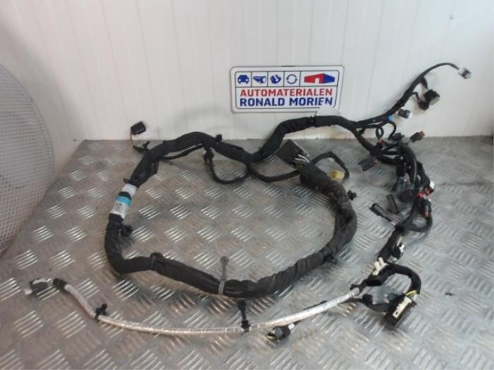 Wiring harness from a Ford Kuga III (DFK) 2.5 PHEV 16V 2021