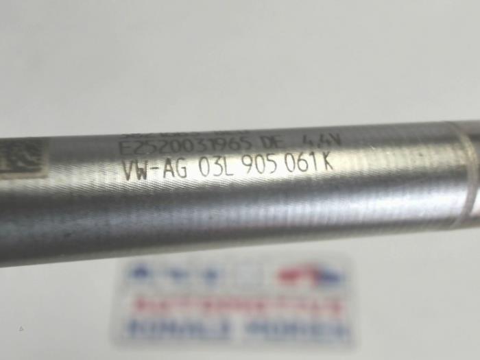 Glow plug Volkswagen Transporter/Caravelle T6 2.0 TDI 204 03L905061K