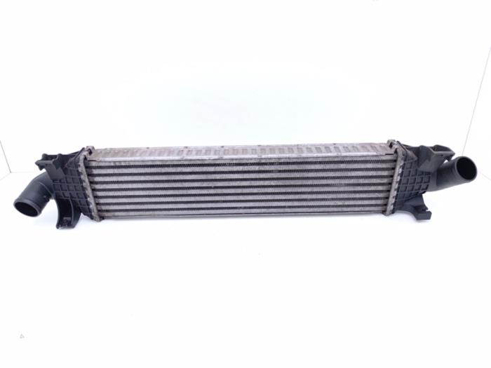 Usagé Intercooler Ford Focus 2 2.0 TDCi 16V Prix € 35,00 Règlement à la marge proposé par Automaterialen Ronald Morien B.V.