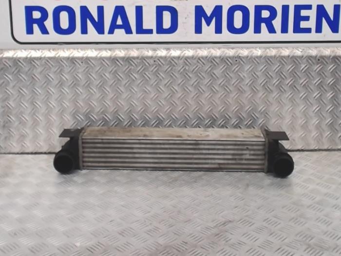 Usados Intercooler BMW 5 serie (E39) 525d 24V Precio € 90,00 Norma de margen ofrecido por Automaterialen Ronald Morien B.V.