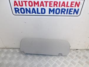 Używane Oslona przeciwsloneczna Tesla Model 3 EV AWD Cena € 35,01 Z VAT oferowane przez Automaterialen Ronald Morien B.V.
