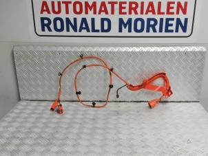 Begagnade Kablage Tesla Model 3 Long Range AWD 75 kWh Pris € 115,00 Inklusive moms erbjuds av Automaterialen Ronald Morien B.V.