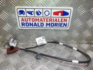 Used Cable (miscellaneous) Volkswagen Transporter T6 2.0 TDI 150 4Motion Price € 9,99 Inclusive VAT offered by Automaterialen Ronald Morien B.V.