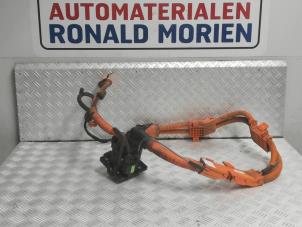 Usados Mazo de cables Hyundai Ioniq Electric Precio € 595,00 Norma de margen ofrecido por Automaterialen Ronald Morien B.V.
