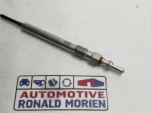 Glühkerze van een Volkswagen Transporter/Caravelle T6 2.0 TDI 150 2022