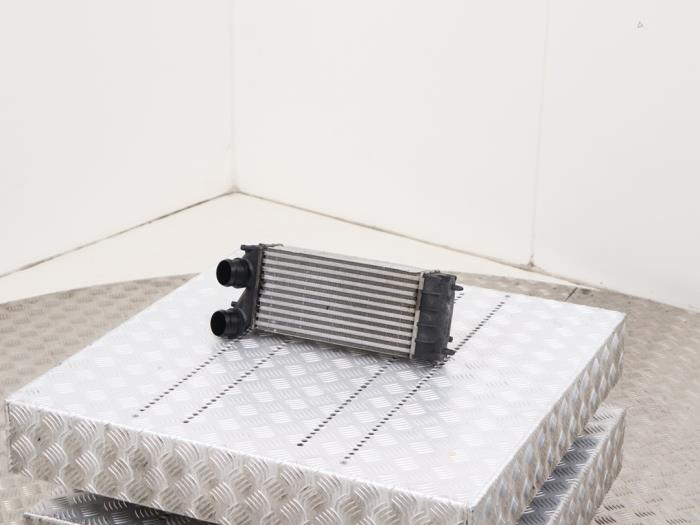 Usados Intercooler Citroen Berlingo 1.6 Hdi 75 Precio € 34,99 IVA incluido ofrecido por Automaterialen Ronald Morien B.V.