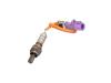 Ford Fiesta 6 (JA8) 1.25 16V Sonde lambda