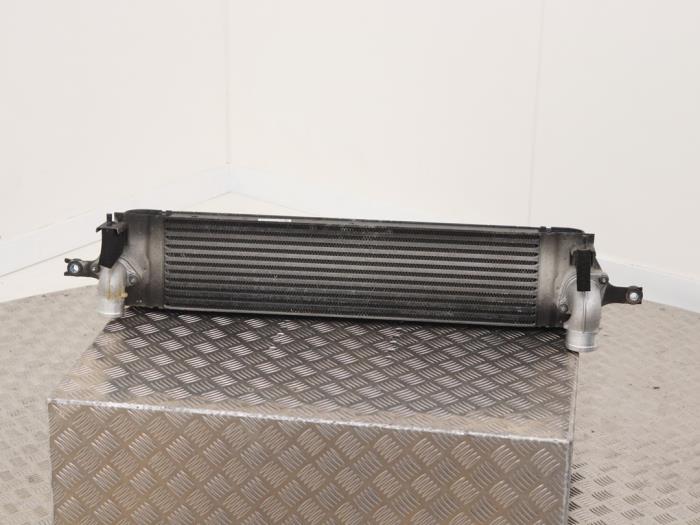 Usagé Intercooler Renault Koleos I 2.0 dCi 16V Prix € 95,00 Règlement à la marge proposé par Automaterialen Ronald Morien B.V.