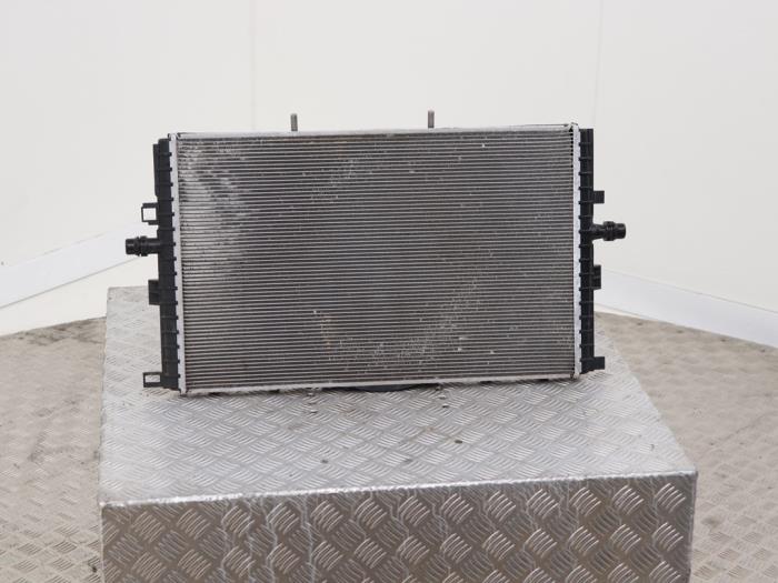 Usagé Radiateur Tesla Model 3 Long Range, Performance AWD Prix € 95,00 Prix TTC proposé par Automaterialen Ronald Morien B.V.