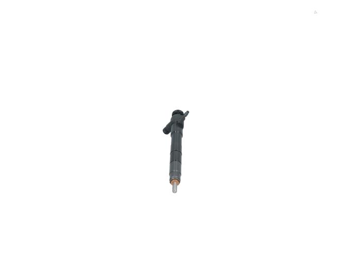 Injector (diesel) from a Volkswagen Polo VI (AW1) 1.6 TDI 16V 80 2019