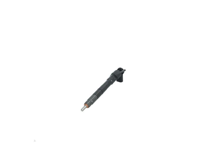 Injector (diesel) from a Volkswagen Polo VI (AW1) 1.6 TDI 16V 80 2019