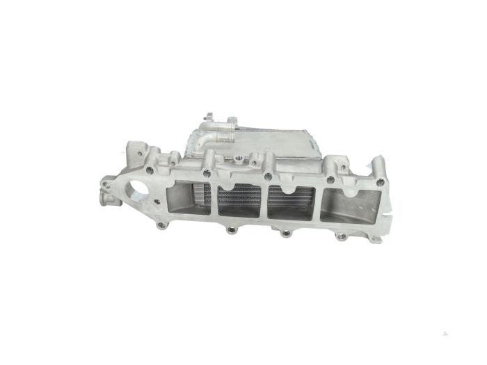 Intake manifold from a Volkswagen Polo VI (AW1) 1.6 TDI 16V 80 2019