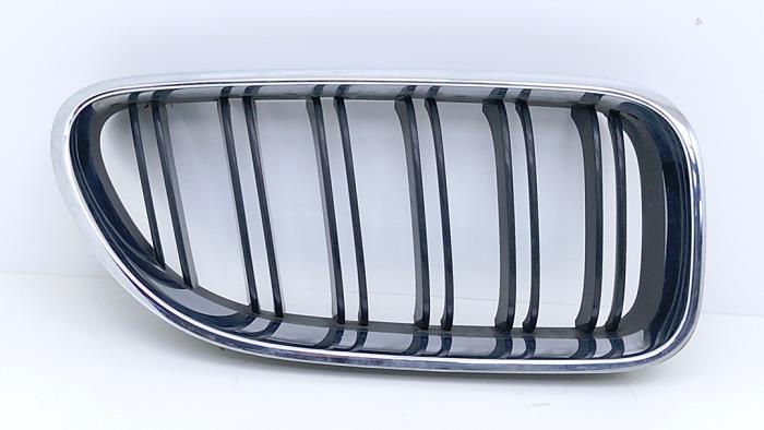 Używane Grill BMW M6 (F13) 4.4 V8 32V TwinPower Turbo Cena € 49,00 Procedura marży oferowane przez Automaterialen Ronald Morien B.V.