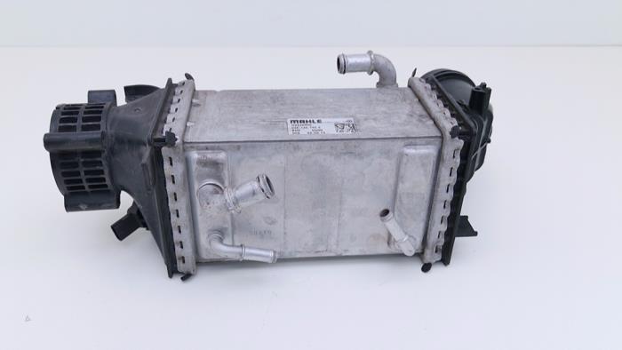 Usados Intercooler Volkswagen Golf VII (AUA) 1.5 TSI Evo BMT 16V Precio € 49,00 Norma de margen ofrecido por Automaterialen Ronald Morien B.V.