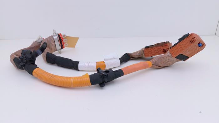 Gebrauchte Kabelbaum Renault Clio V (RJAB) 1.6 E-Tech 145 16V Preis € 165,00 Mit Mehrwertsteuer angeboten von Automaterialen Ronald Morien B.V.