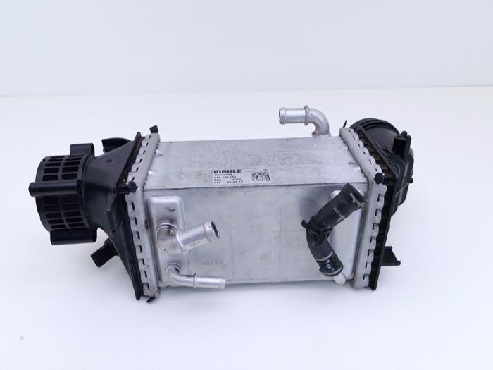Usados Intercooler Volkswagen Golf VII (AUA) 1.5 TSI Evo BMT 16V Precio € 49,00 Norma de margen ofrecido por Automaterialen Ronald Morien B.V.