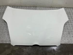 Gebrauchte Motorhaube Opel Combo 1.3 CDTI 16V Preis € 151,25 Mit Mehrwertsteuer angeboten von Automaterialen Ronald Morien B.V.