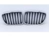 BMW X1 (E84) sDrive 20i 2.0 16V Twin Power Turbo Grill