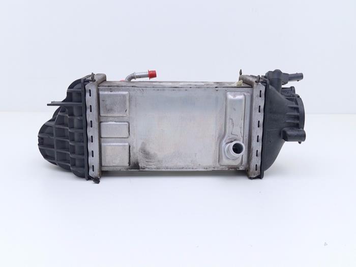 Usagé Echangeur air (Intercooler) Volkswagen Golf VIII (CD1) 1.0 TSI 12V Prix € 75,00 Règlement à la marge proposé par Automaterialen Ronald Morien B.V.
