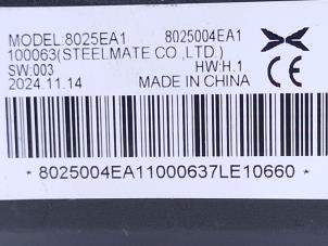 Computer, miscellaneous from a Xpeng G6 AWD Performance 2025