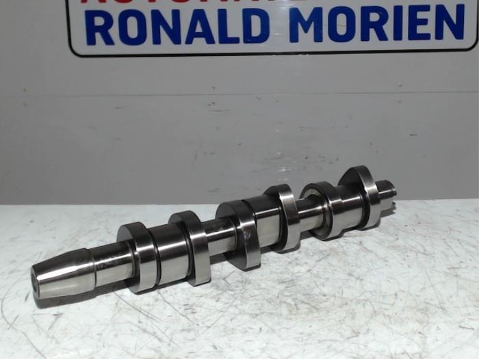 Usagé Arbre à cames Volkswagen Polo IV (9N1/2/3) 1.4 TDI 70 Prix € 100,00 Règlement à la marge proposé par Automaterialen Ronald Morien B.V.