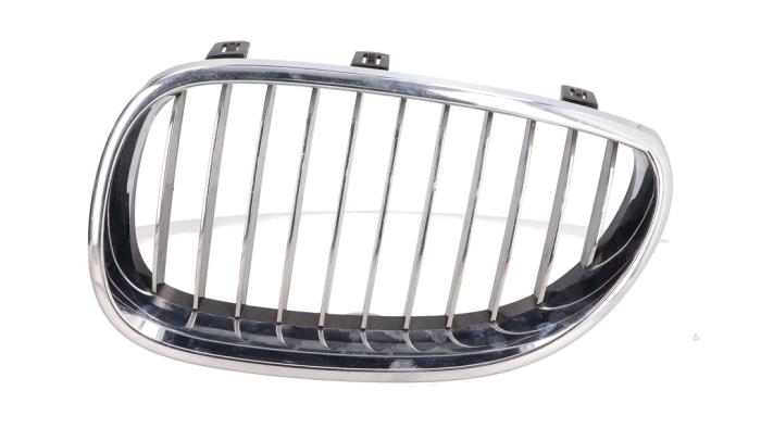 Używane Grill BMW 5 serie (E60) 525d 24V Cena € 24,99 Procedura marży oferowane przez Automaterialen Ronald Morien B.V.