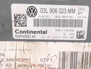 Usados Ordenador de gestión de motor Volkswagen Jetta Precio € 195,00 Norma de margen ofrecido por Automaterialen Ronald Morien B.V.