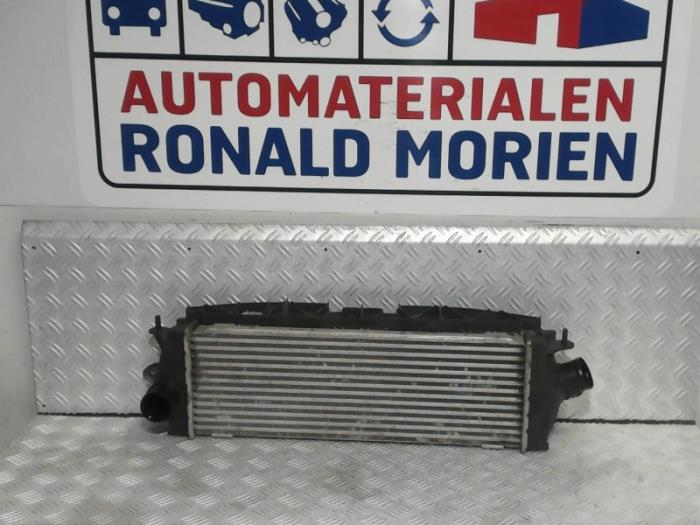 Used Intercooler Opel Vivaro 2.0 CDTI 16V Price € 45,00 Margin scheme offered by Automaterialen Ronald Morien B.V.