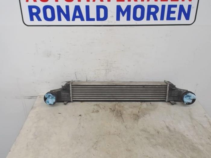 Usados Intercooler Mercedes E (W211) 2.2 E-220 CDI 16V Precio € 150,00 Norma de margen ofrecido por Automaterialen Ronald Morien B.V.