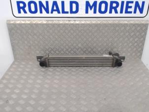 Gebrauchte Ladeluftkühler Fiat Fiorino Preis € 80,00 Margenregelung angeboten von Automaterialen Ronald Morien B.V.