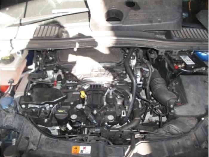 Używane Silnik Ford C-Max (DXA) 2.0 TDCi 16V Cena € 2.100,00 Procedura marży oferowane przez Automaterialen Ronald Morien B.V.