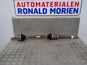 Used Front drive shaft, right Opel Movano Price € 125,00 Margin scheme offered by Automaterialen Ronald Morien B.V.