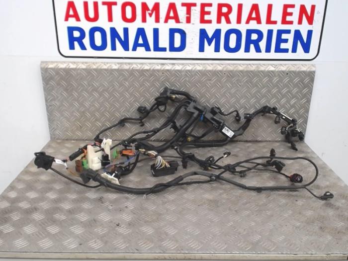 Wiring harness from a BMW 1 serie (F21) 116d 1.5 12V TwinPower 2016