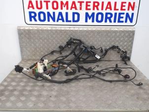 Gebrauchte Kabelbaum BMW 1 serie (F21) 116d 1.5 12V TwinPower Preis € 80,00 Margenregelung angeboten von Automaterialen Ronald Morien B.V.