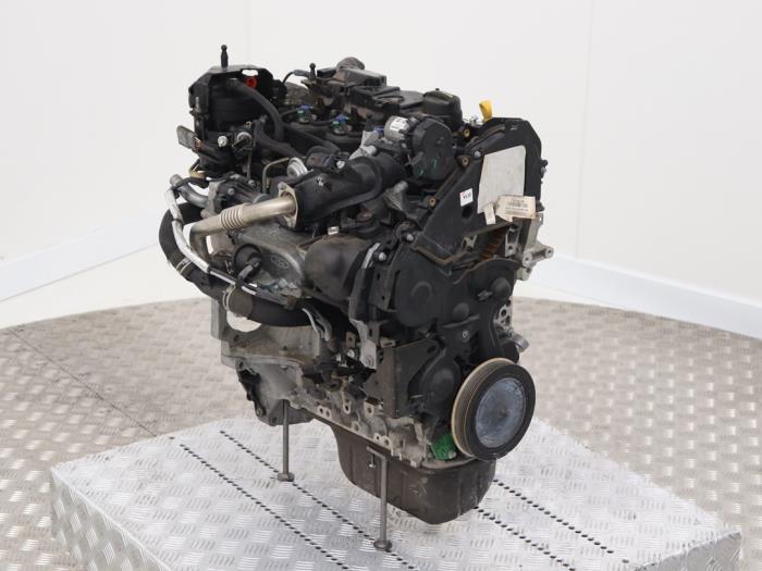 Used Engine Ford EcoSport (JK8) 1.5 TDCi Price € 2.750,00 Margin scheme offered by Automaterialen Ronald Morien B.V.