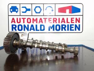 Used Camshaft kit Ford Focus 3 Wagon 1.0 Ti-VCT EcoBoost 12V 100 Van Price on request offered by Automaterialen Ronald Morien B.V.